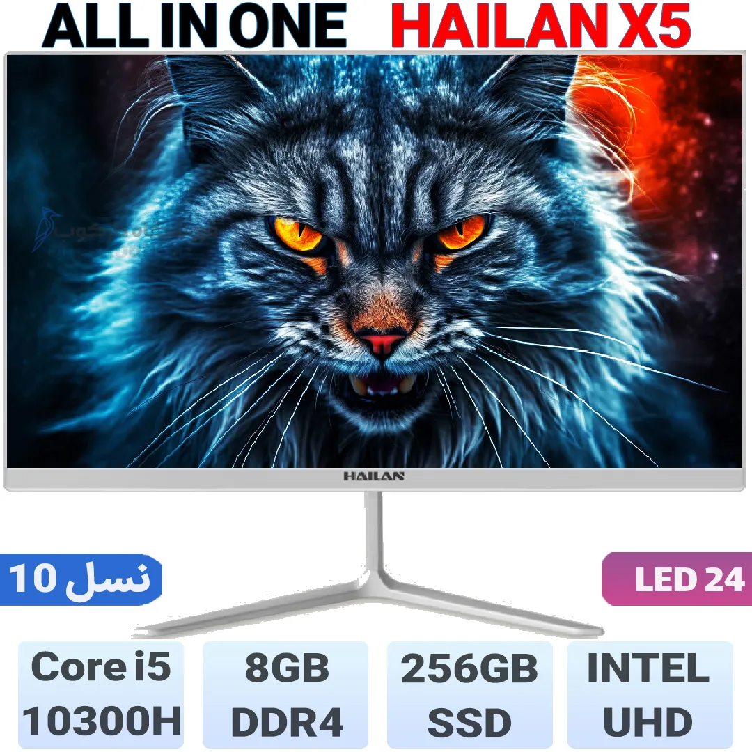 ال این وان 1